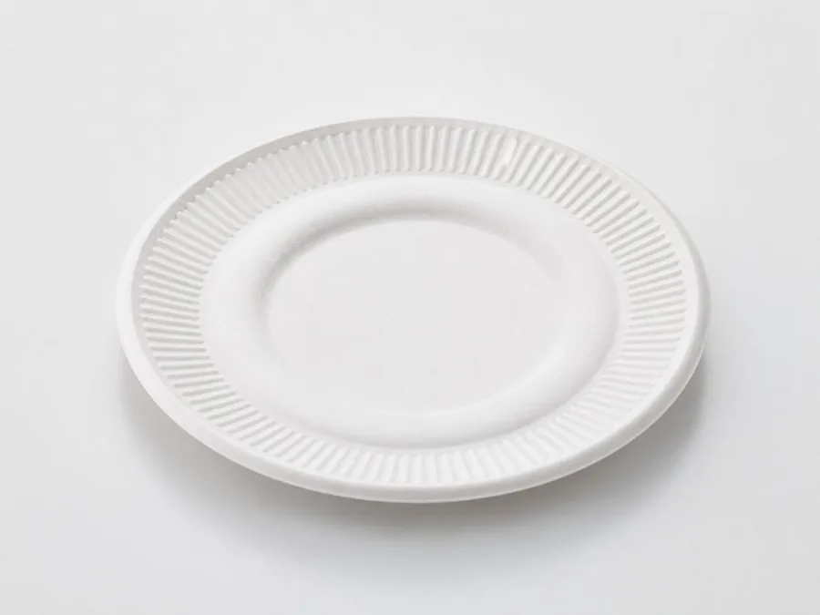 Bagasse Plates representative range illustration